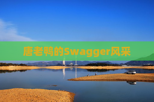 唐老鸭的Swagger风采